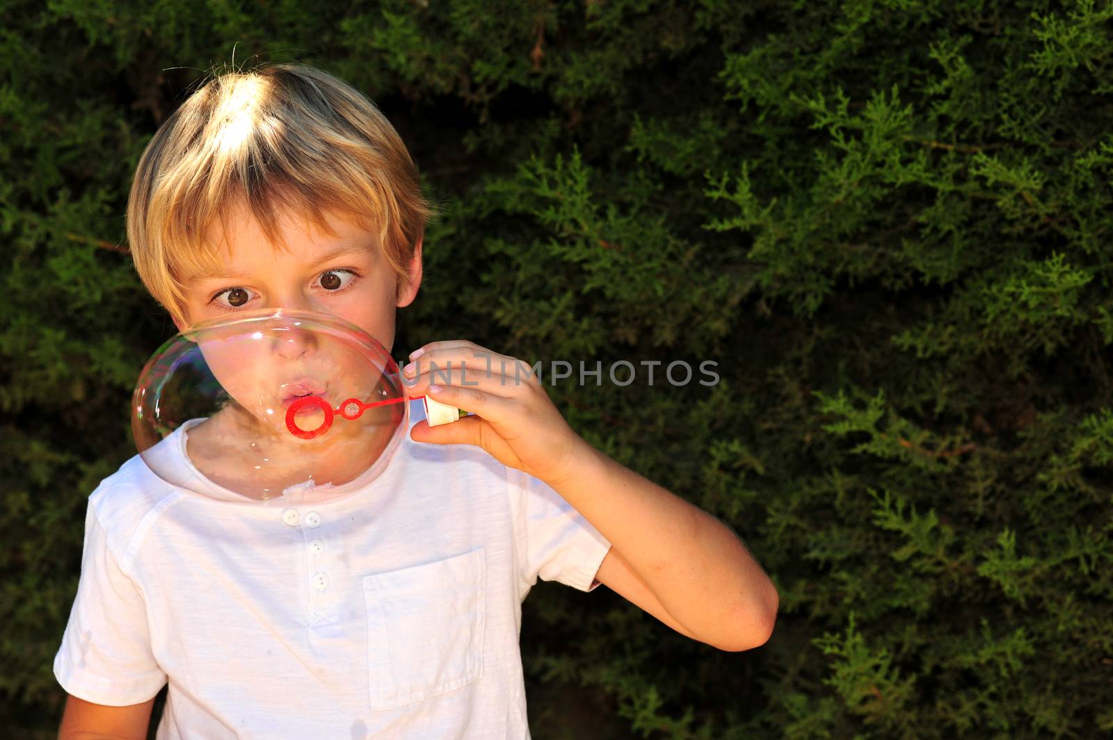 Young boy playing with bubbles in the garden