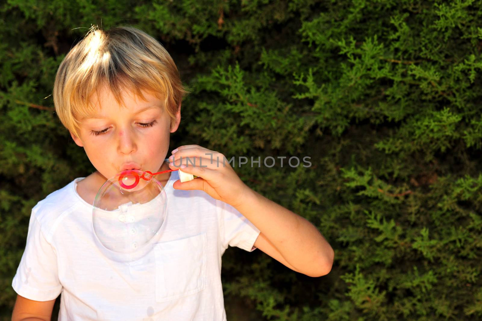 Young boy playing with bubbles in the garden