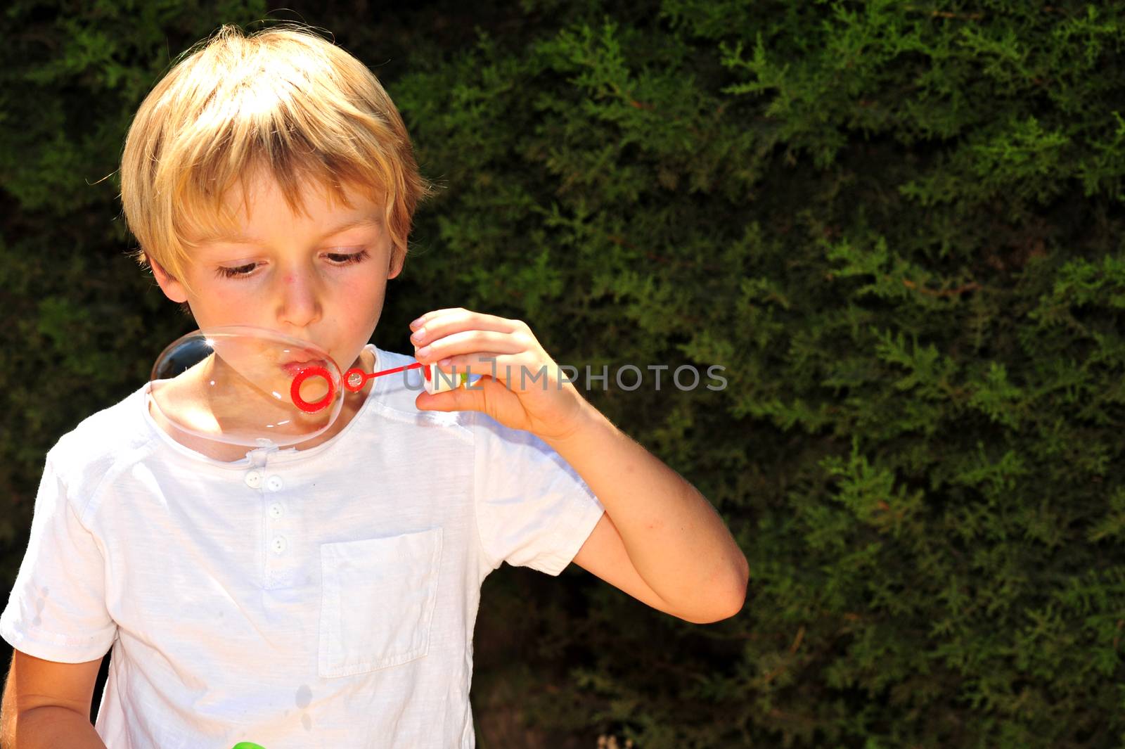 Young boy playing with bubbles in the garden