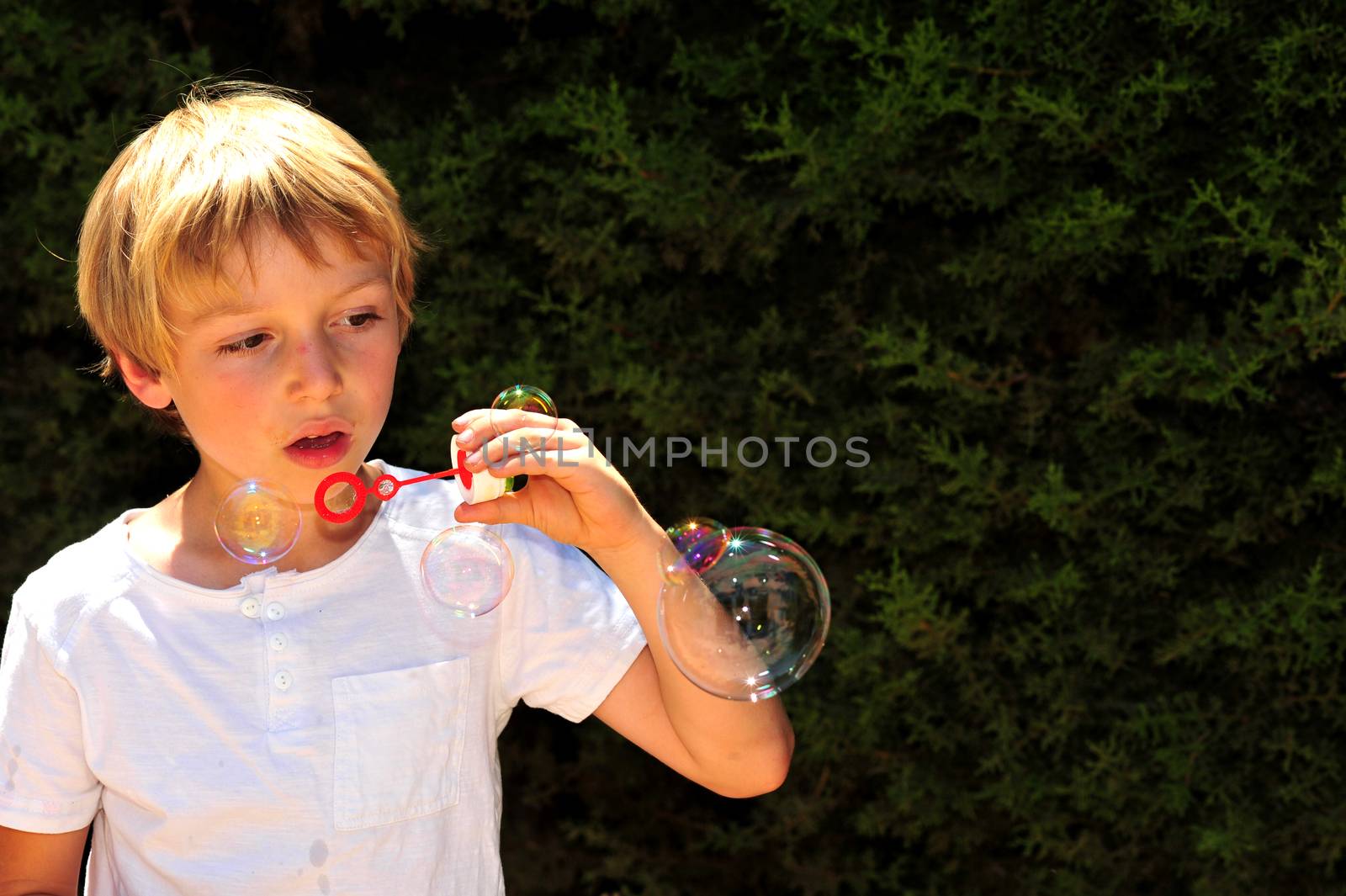 Young boy playing with bubbles in the garden