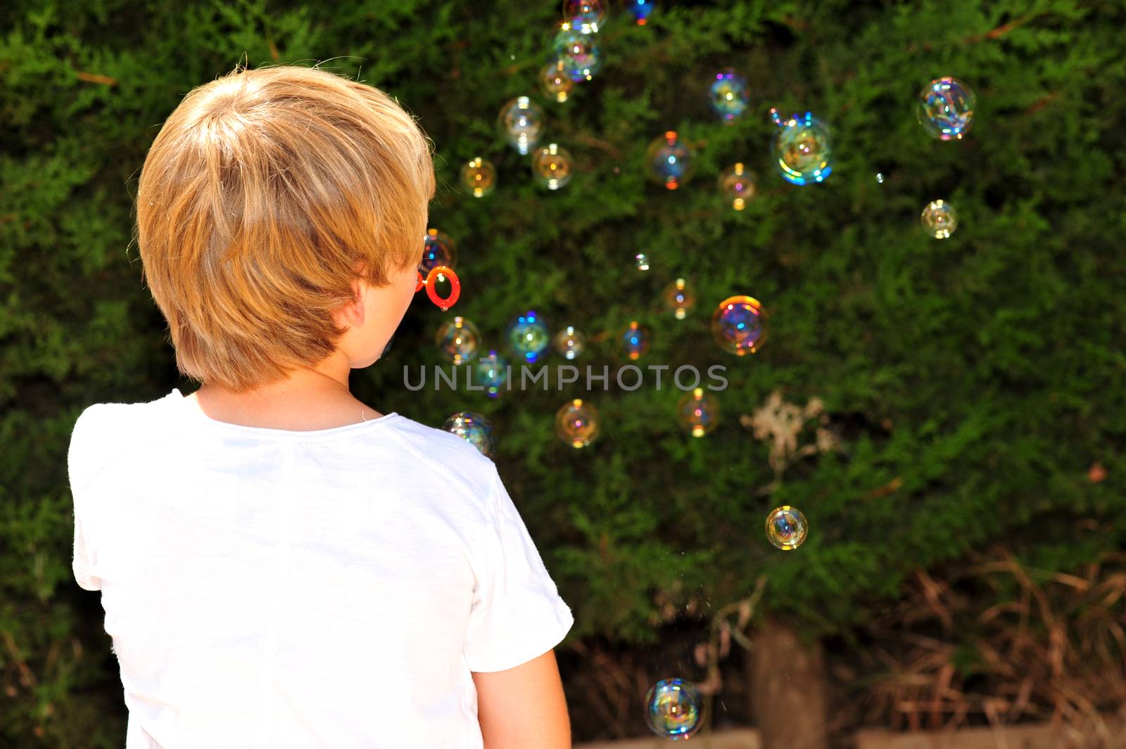 Young boy playing with bubbles in the garden