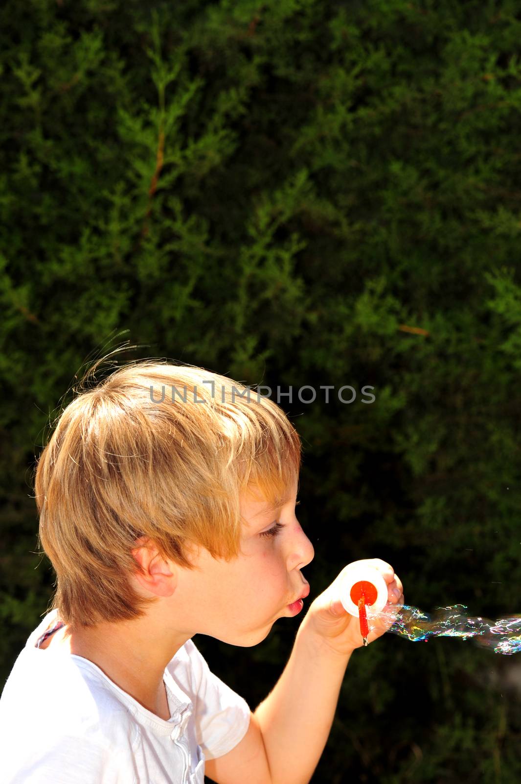 Young boy playing with bubbles in the garden