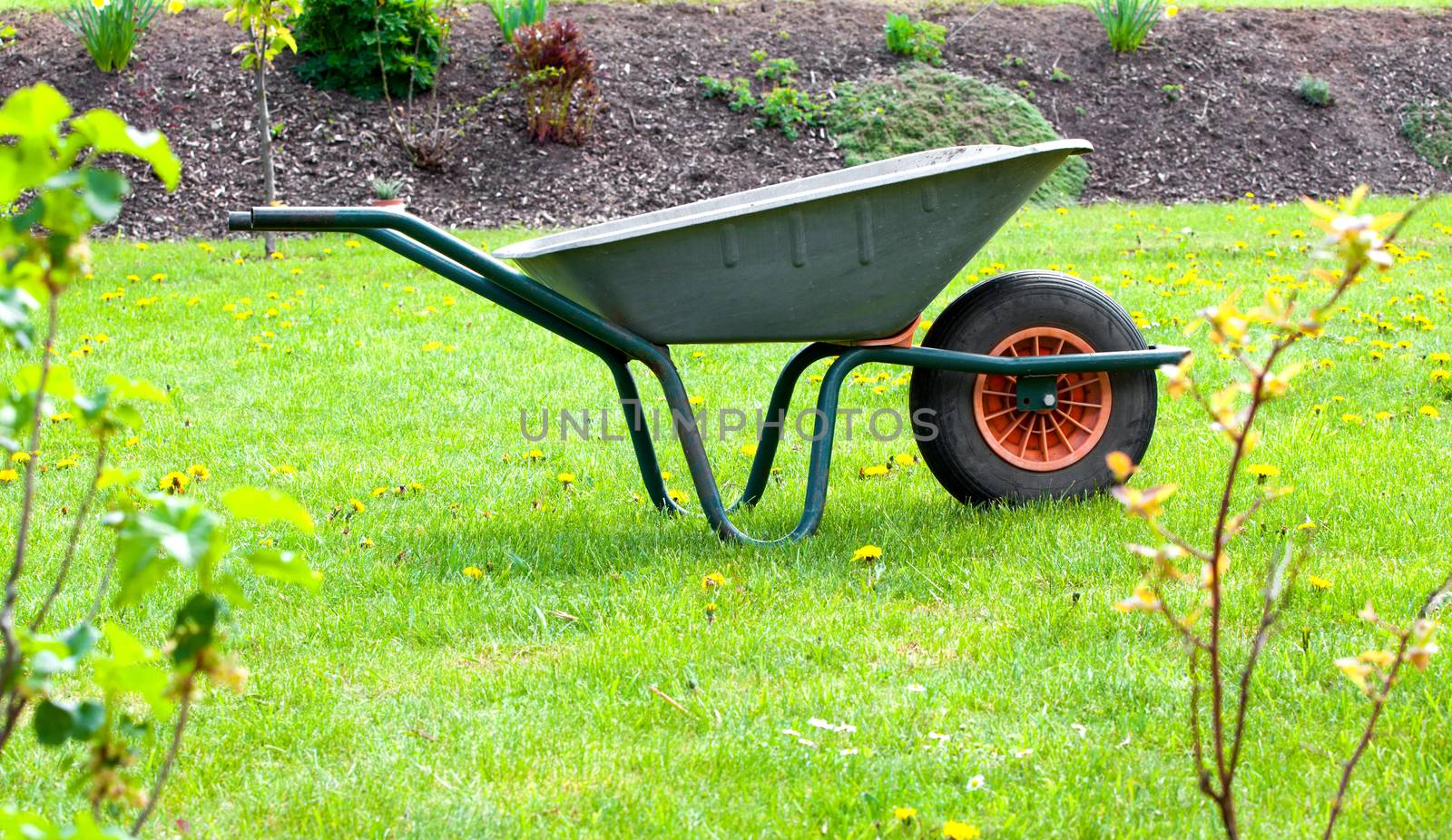 garden-wheelbarrow on green grass