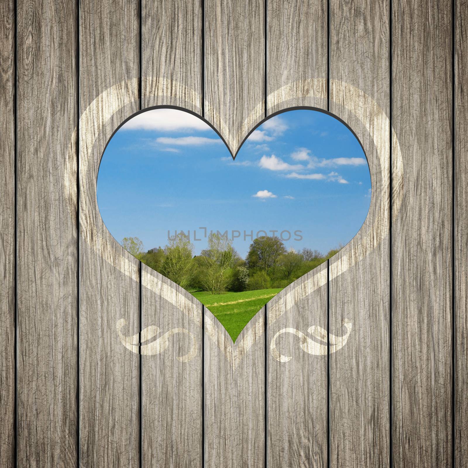 An image of a beautiful wooden heart nature