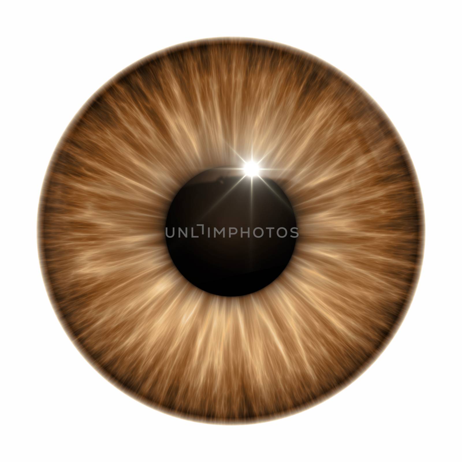 An image of a nice brown eye texture