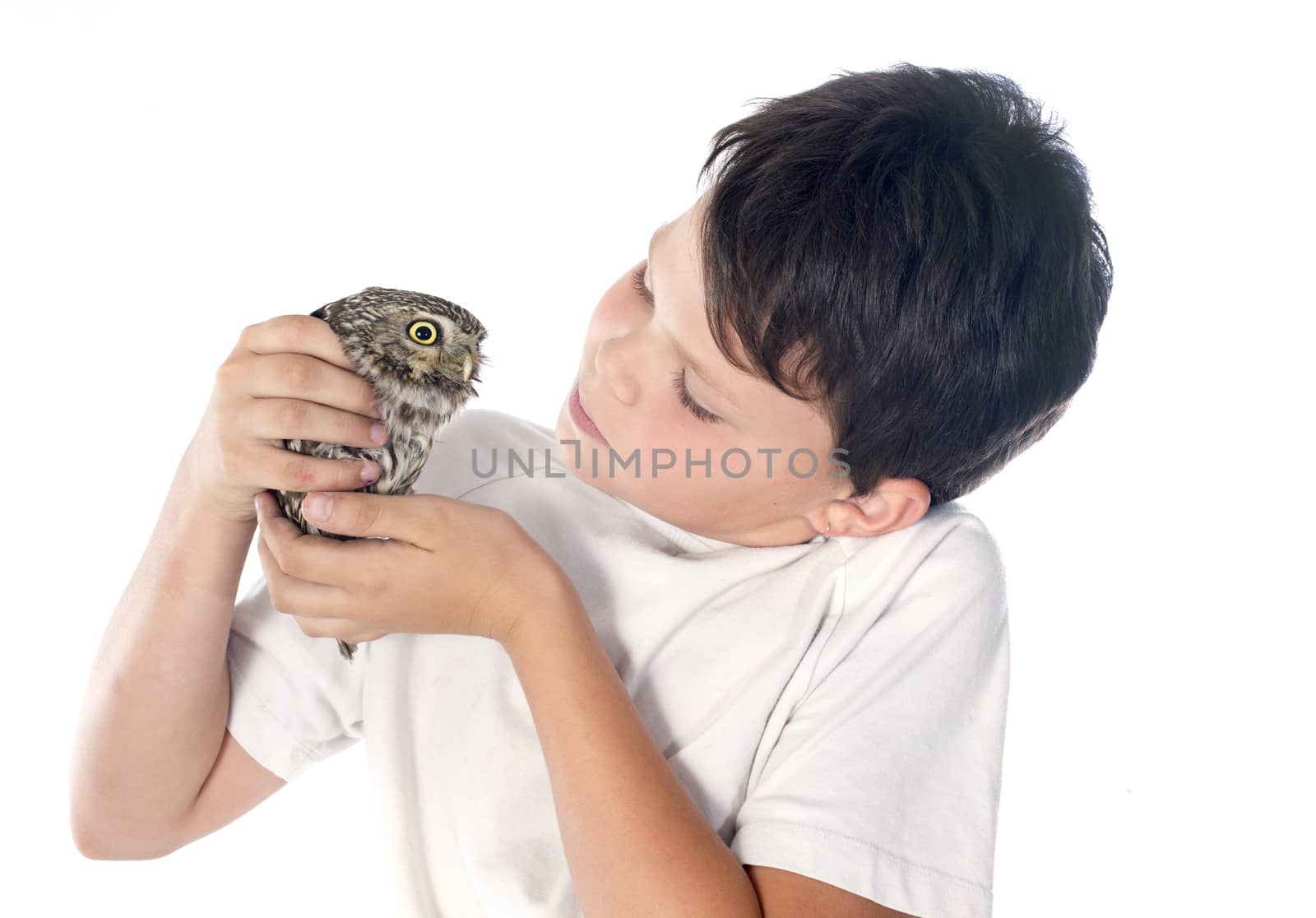 Little owl and child in front of white background