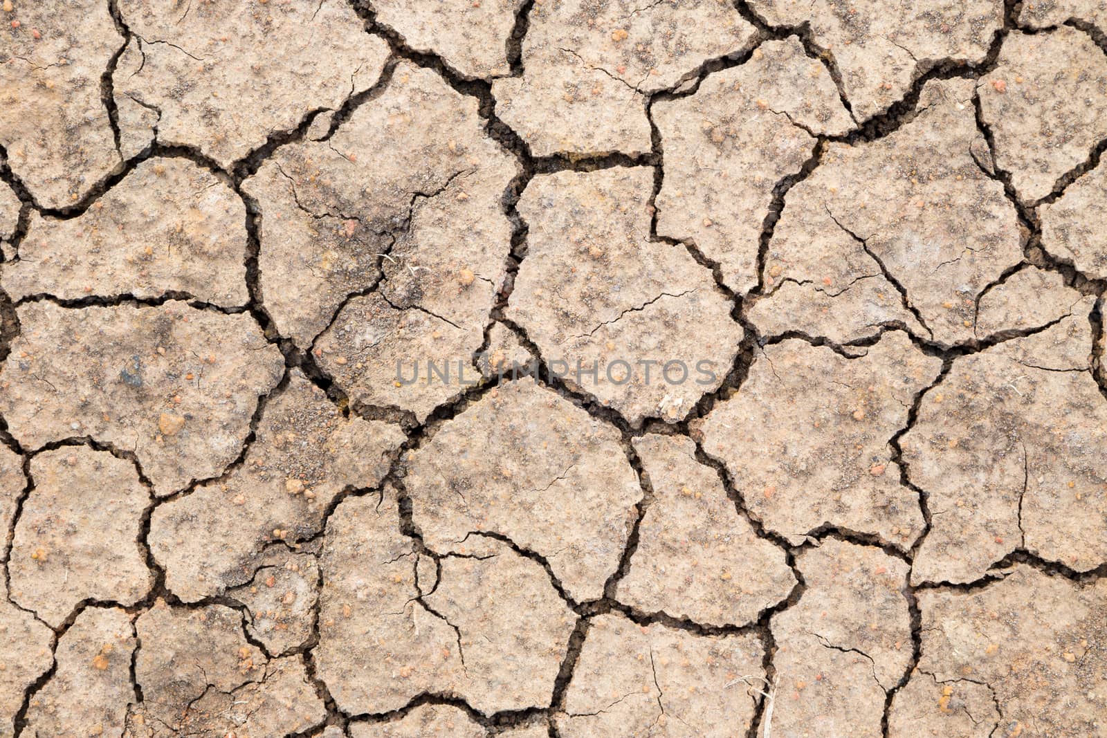 dry soil texture background by vinnstock