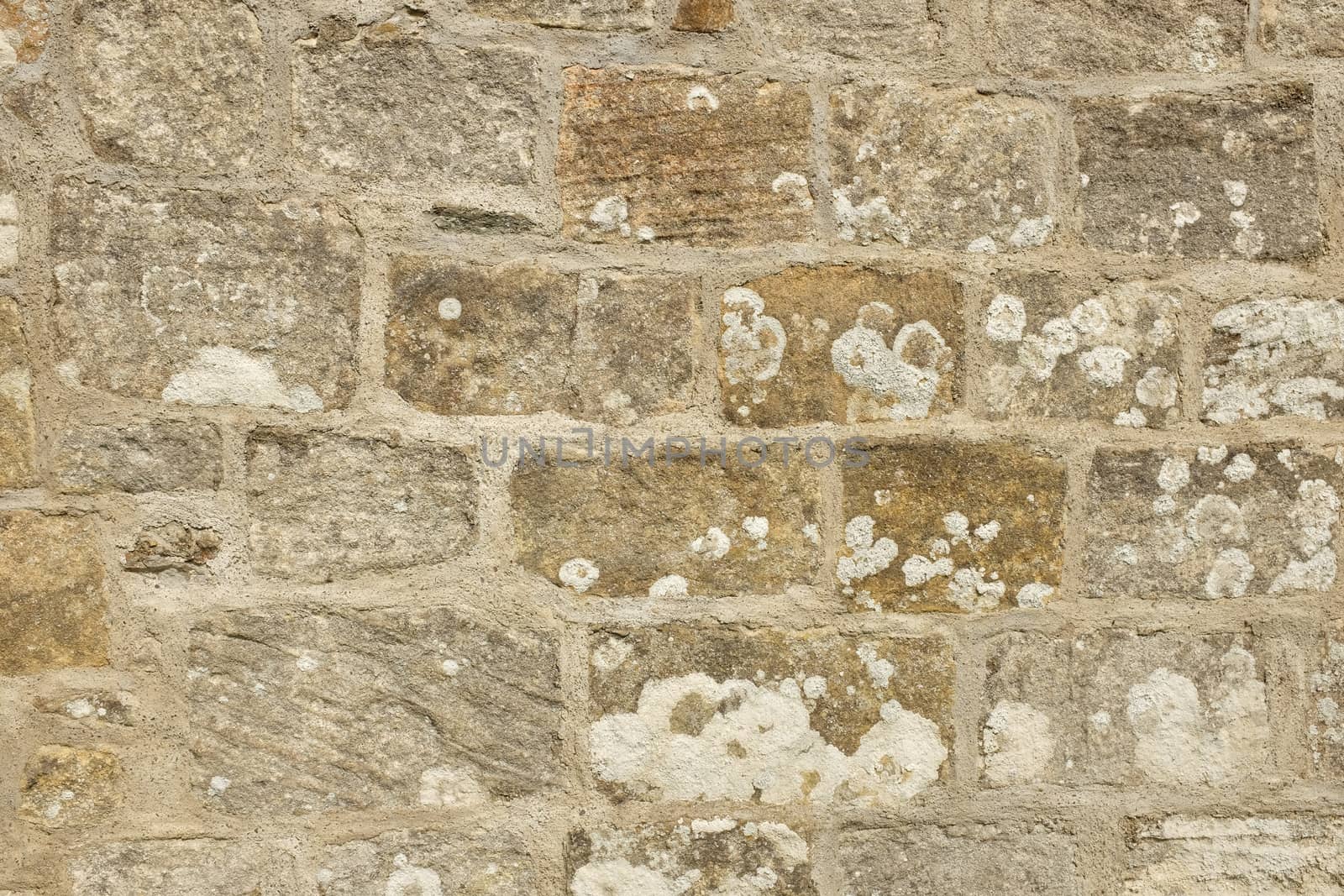 A cut sandstone wall with traditional lime mortar pointing.