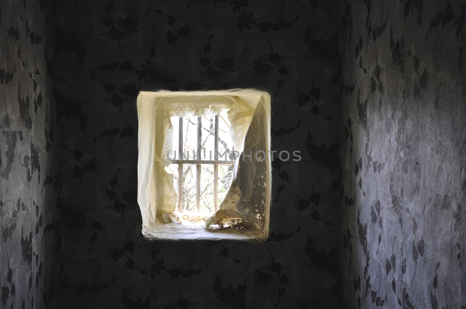On the inside of the window in the old vacated house