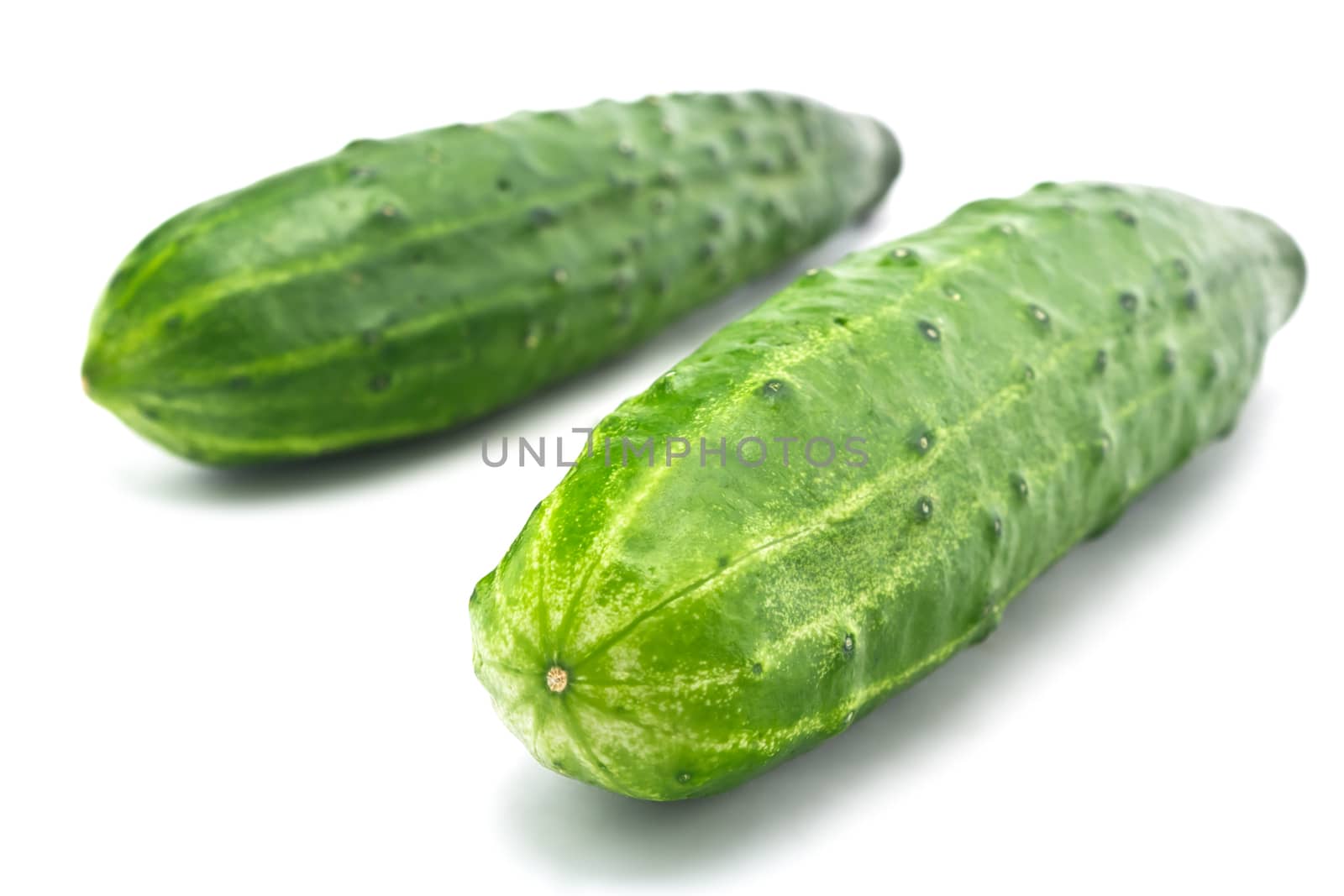Two juicy fresh cucumber on a white background