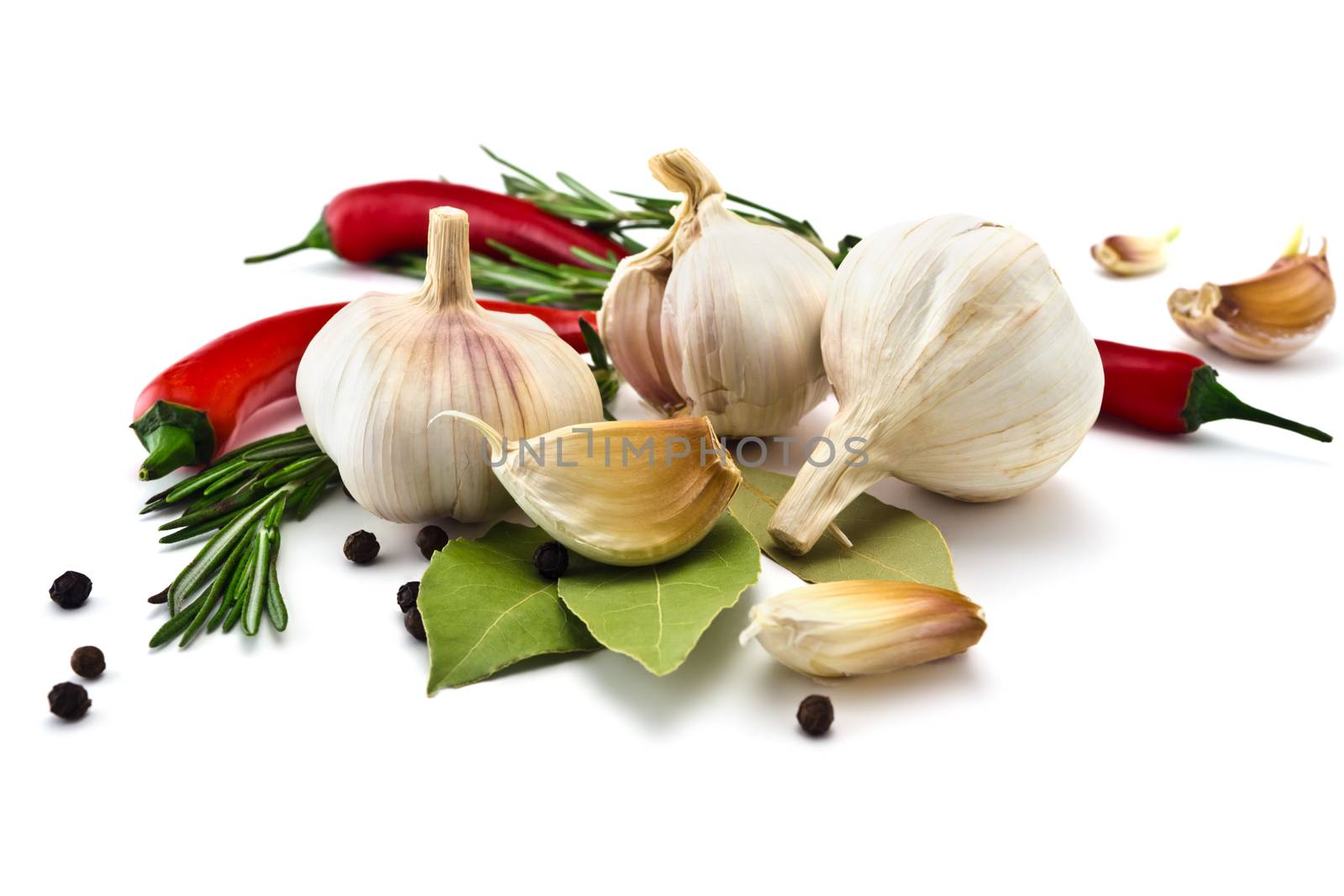 Garlic and rosemary and bay leaf isolated on white background