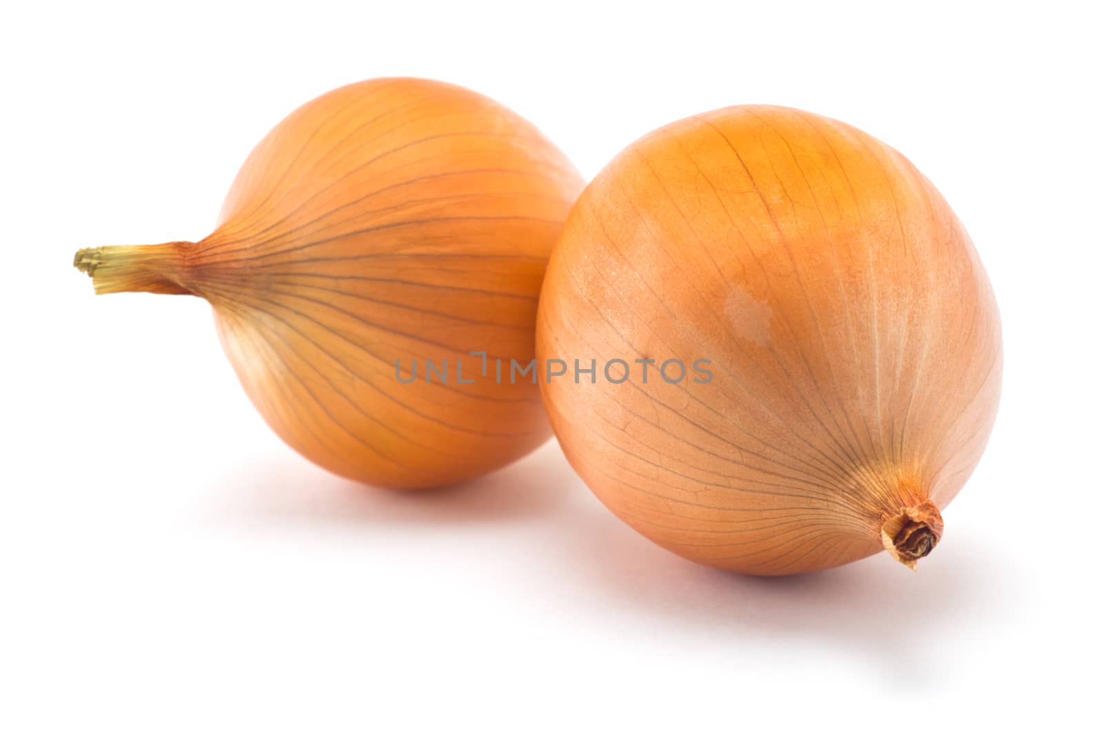 onions by pilotL39
