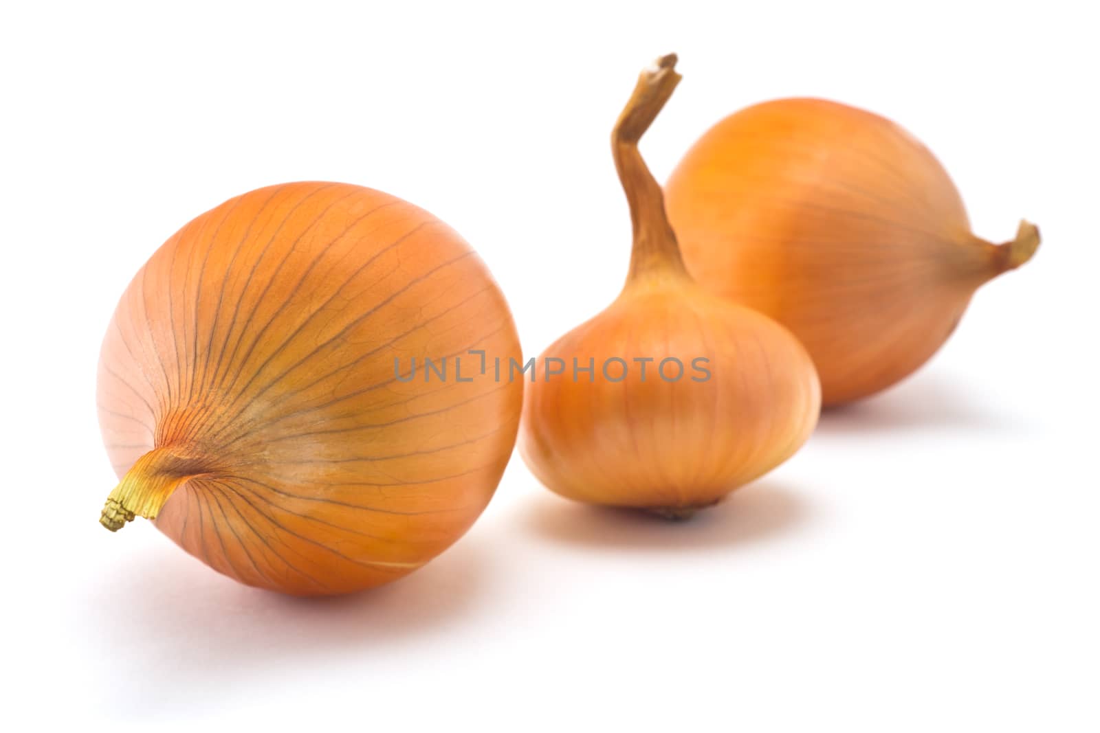 onions
onions on a white background
juicy onions
fresh onions
golden husks