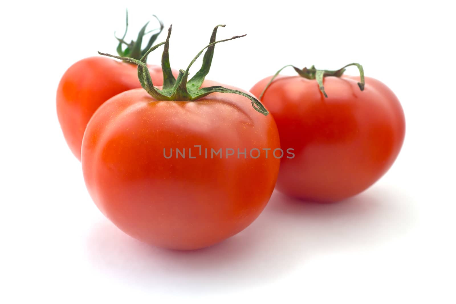 tomatoes on white background by pilotL39