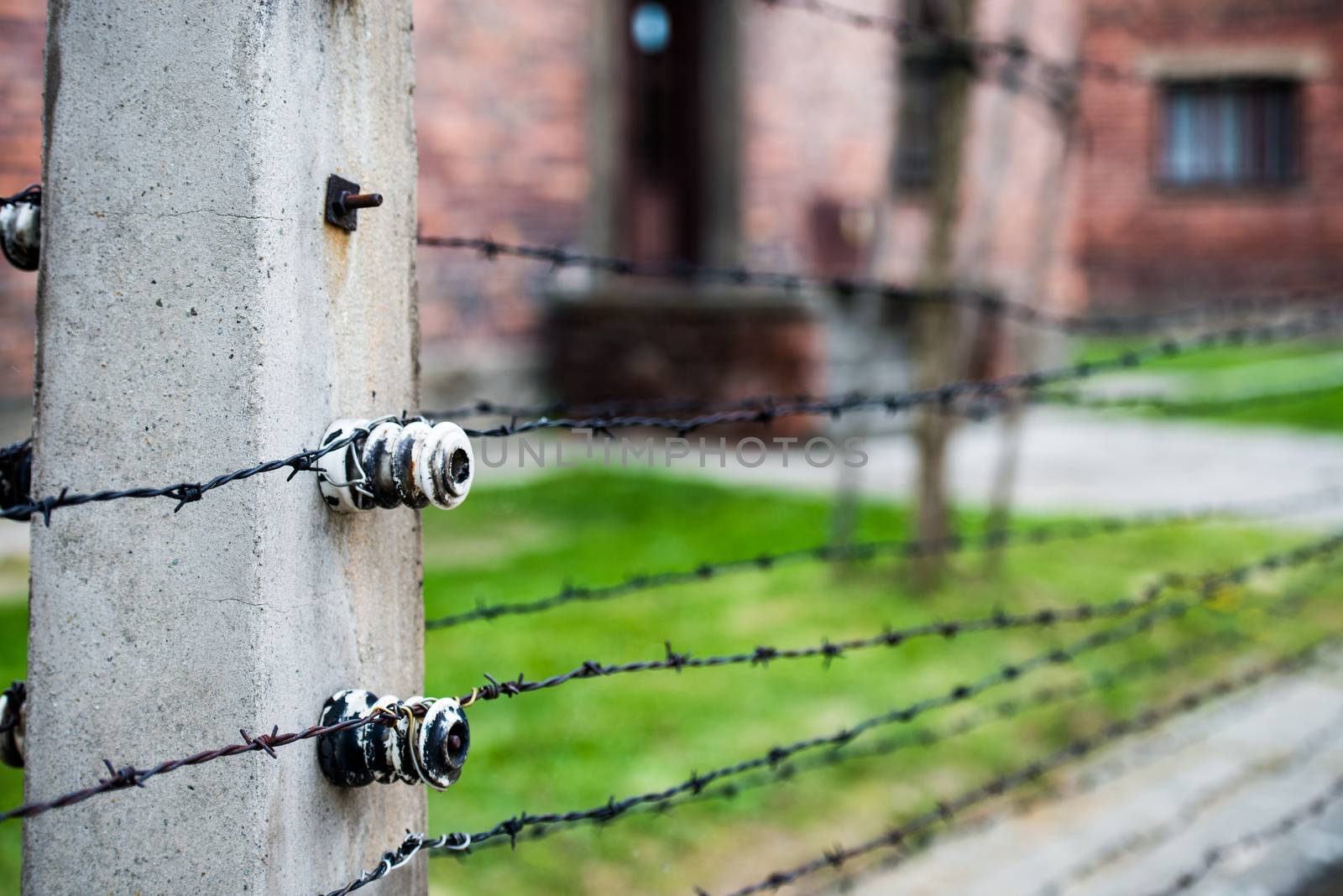 Barbed wire fence in Auschwitz II-Birkenau Concentration Camp in Poland