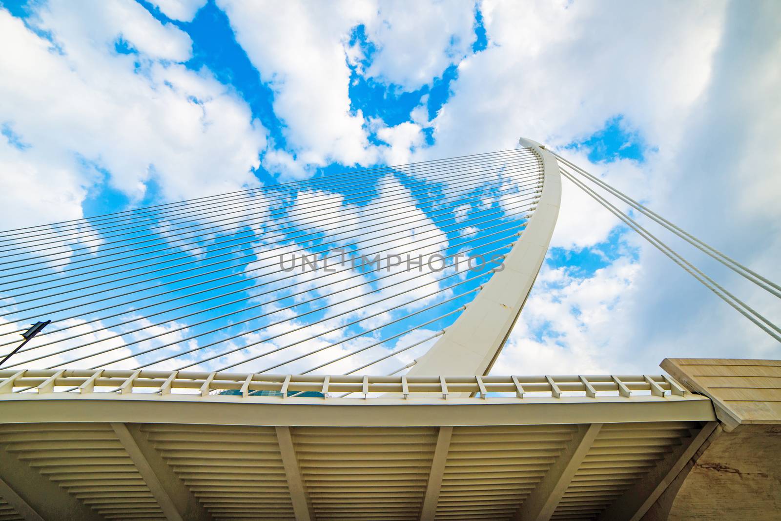 part of the modern bridge on the ropes