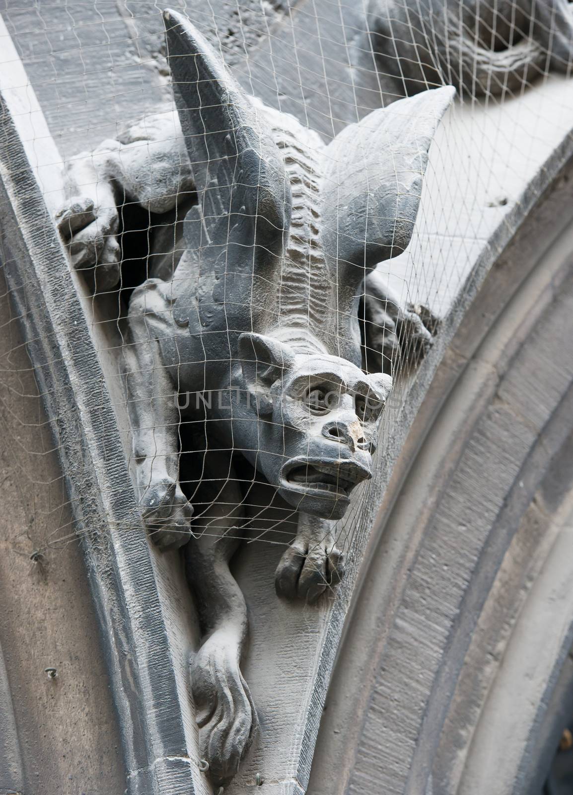 Gothic gargoyle on New Town Hall (Munich, Germany).