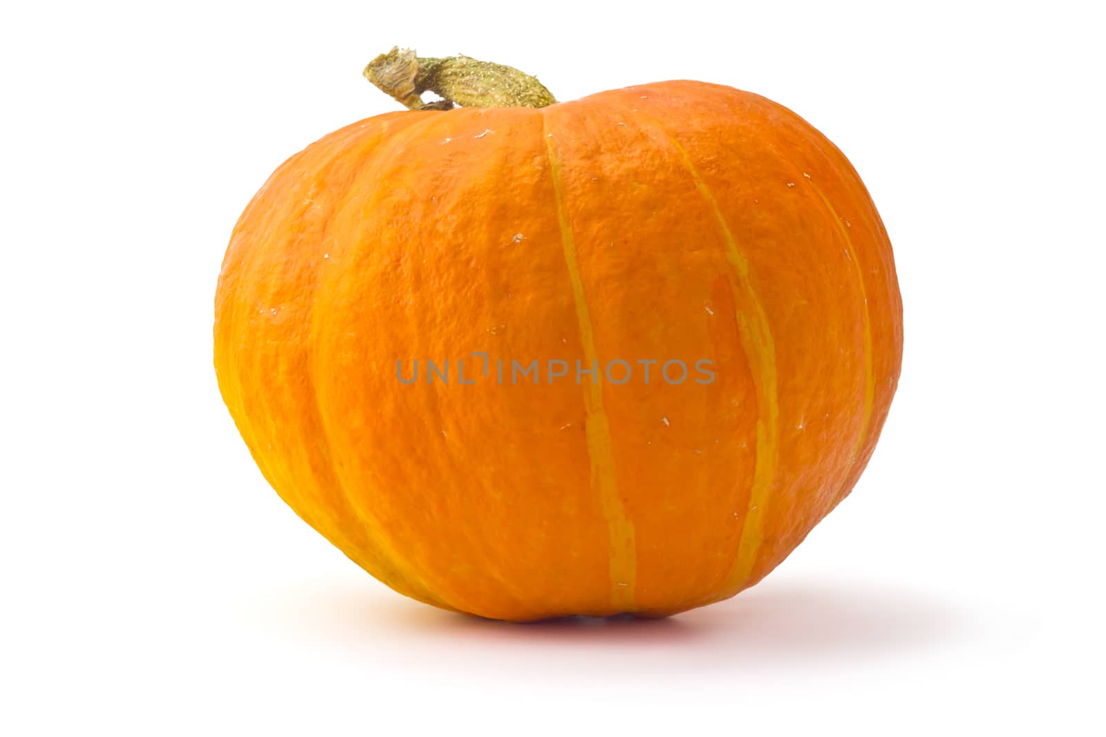 one ripe pumpkin isolated on white background