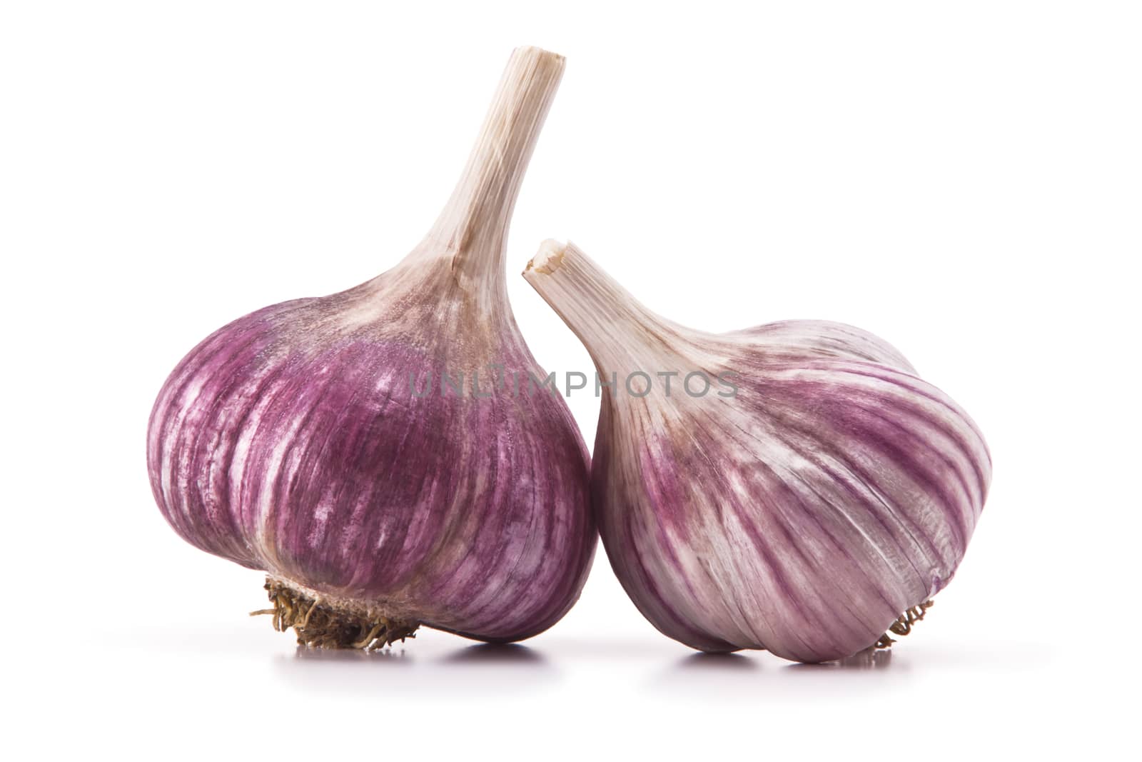 heads of garlic and garlic cloves on a white background