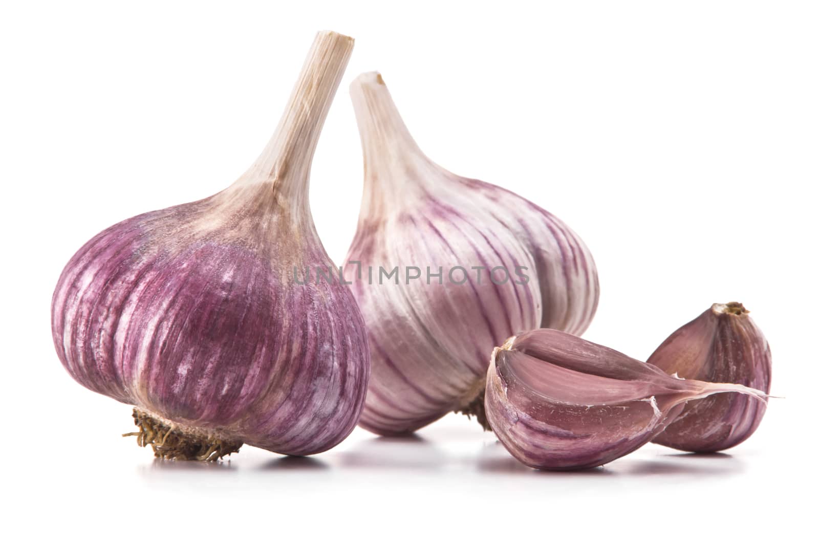 garlic by pilotL39