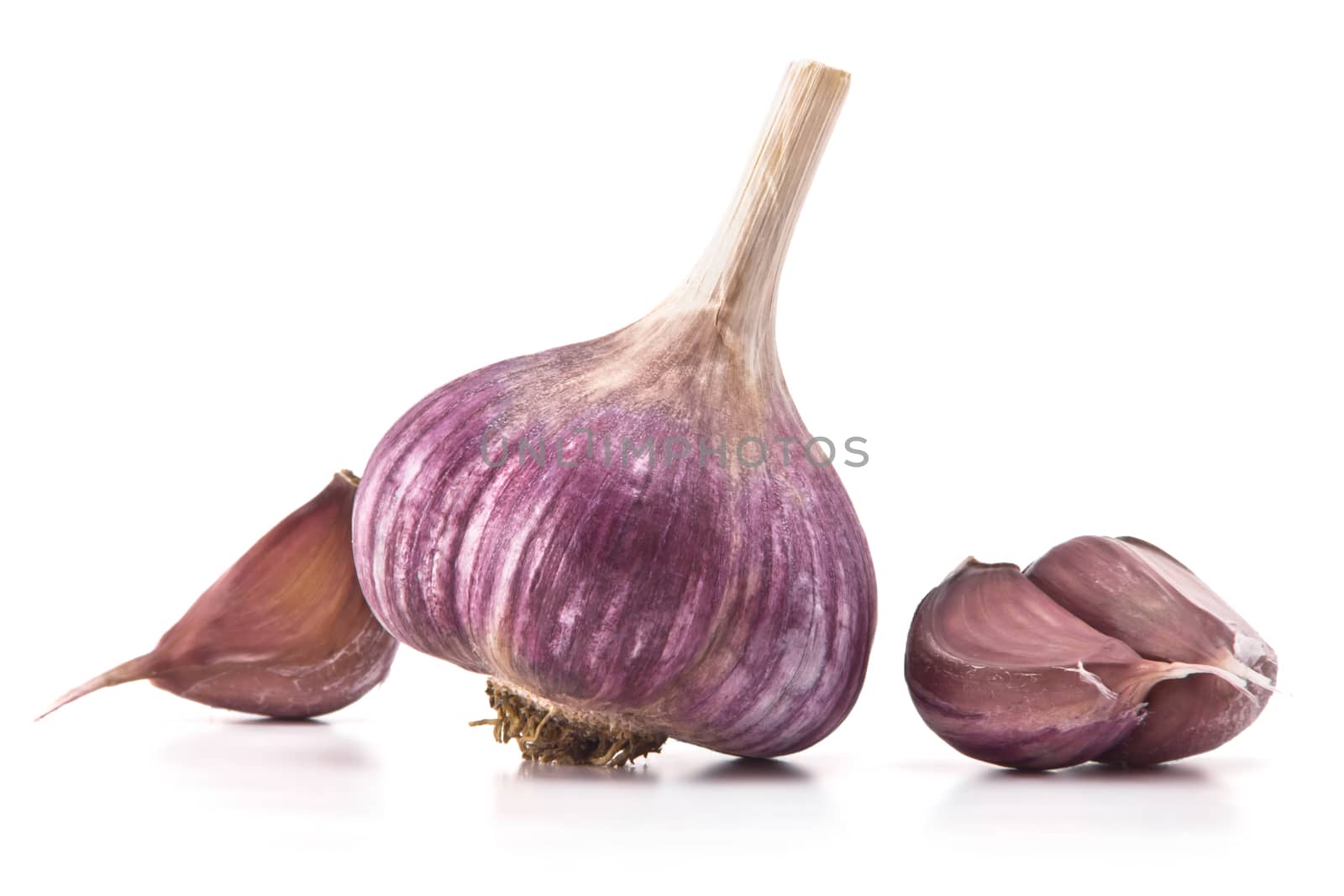 heads of garlic and garlic cloves on a white background