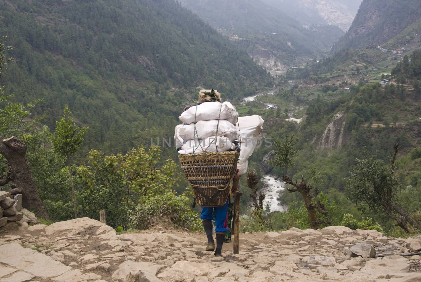 Porter carrying a very heavy load along a path in the Himalaya Mountains, Nepal