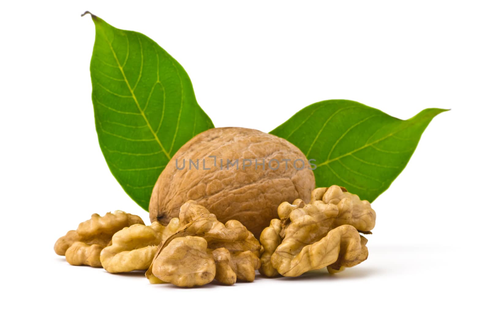 one walnuts, of kernels belonging and leaves on a white background