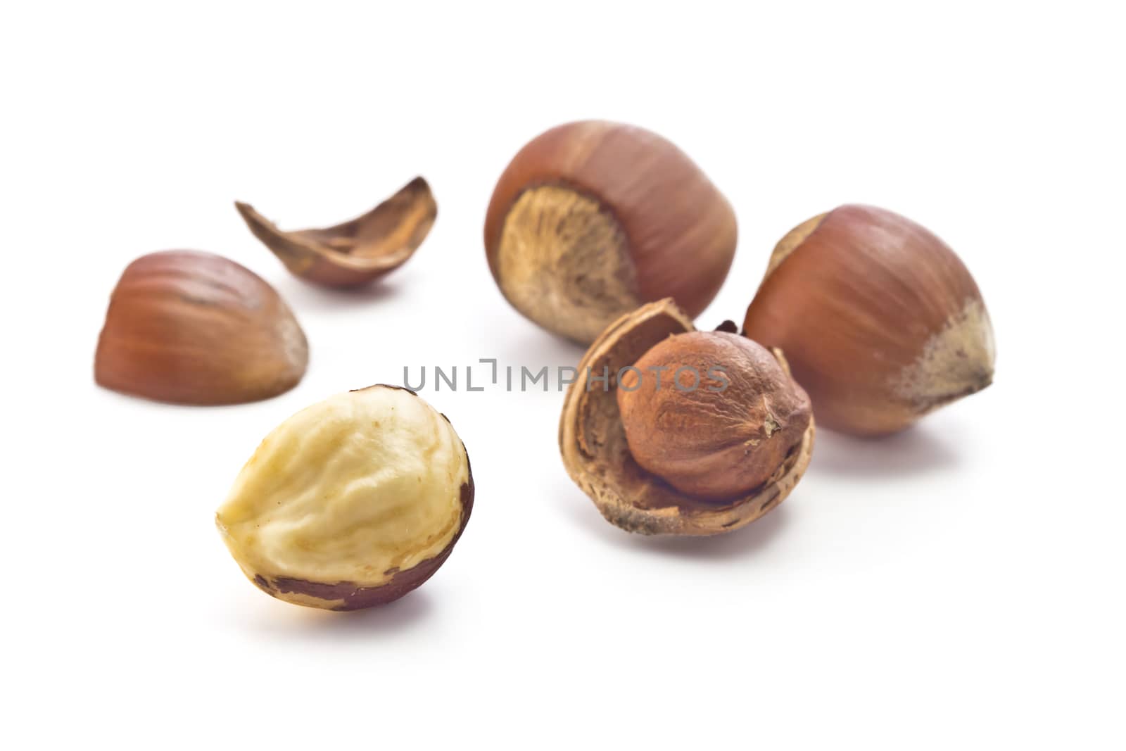 hazelnuts in shell, shell fragments and purified nuclei