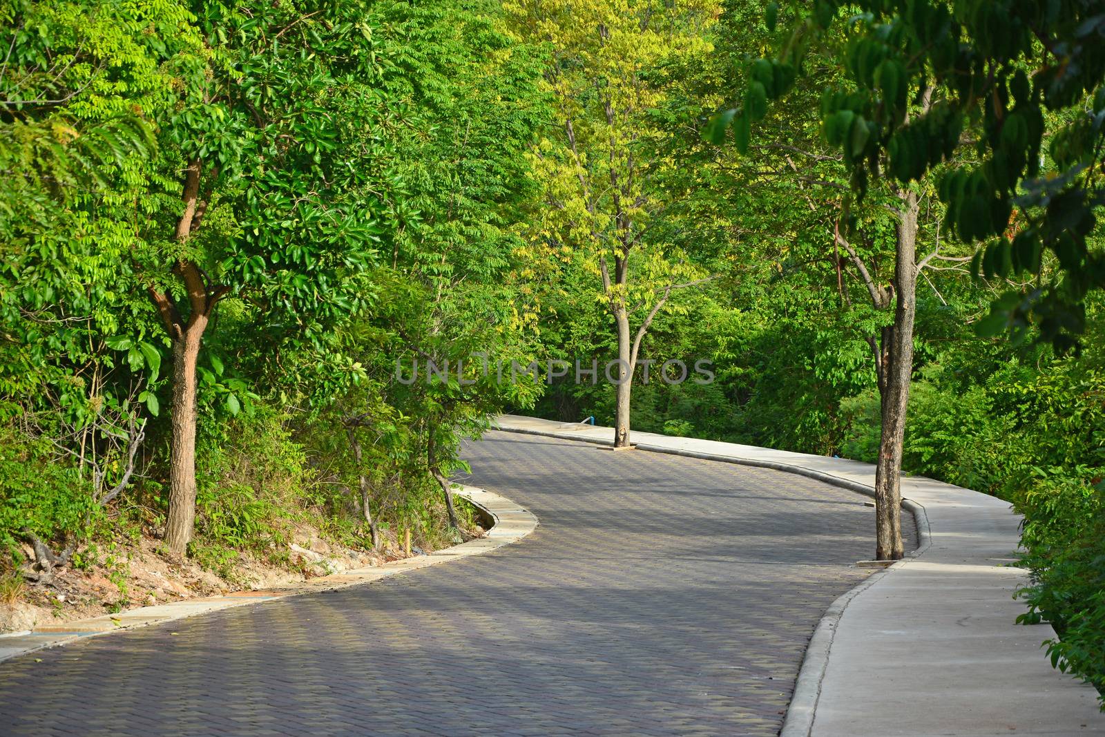 Road on Larn island in Pattaya city of Thailand