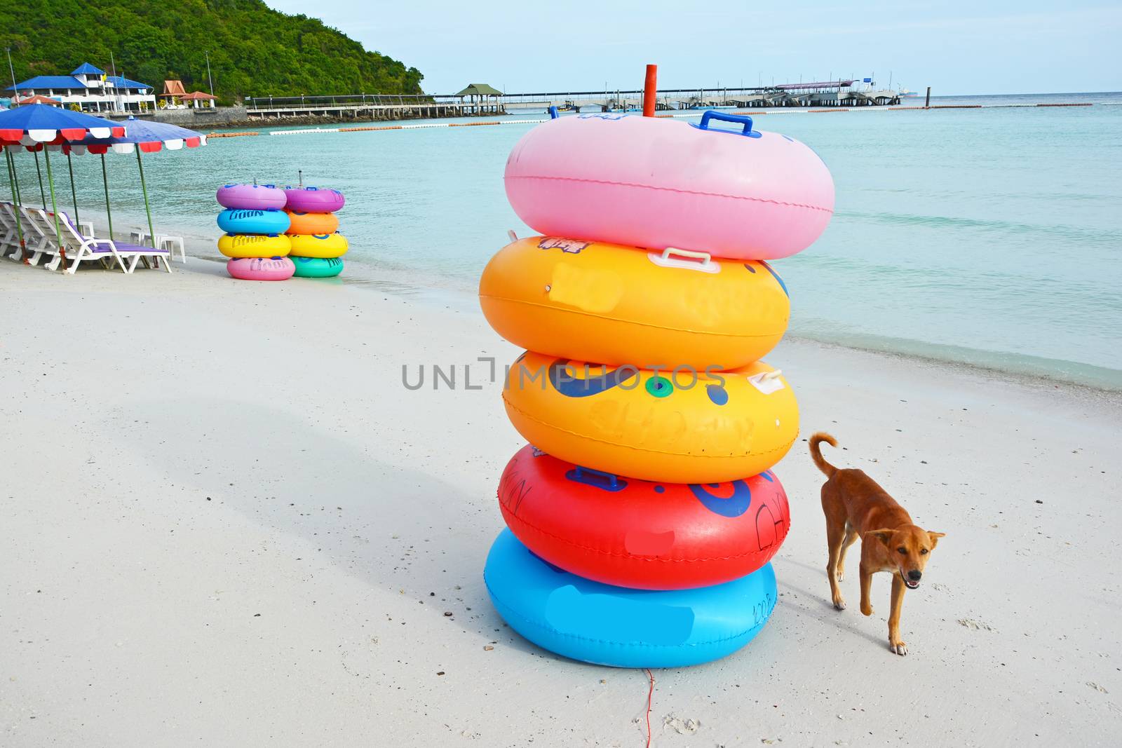 Colored ring on the beach at coral island or Koh Larn ,Pattaya Thailand