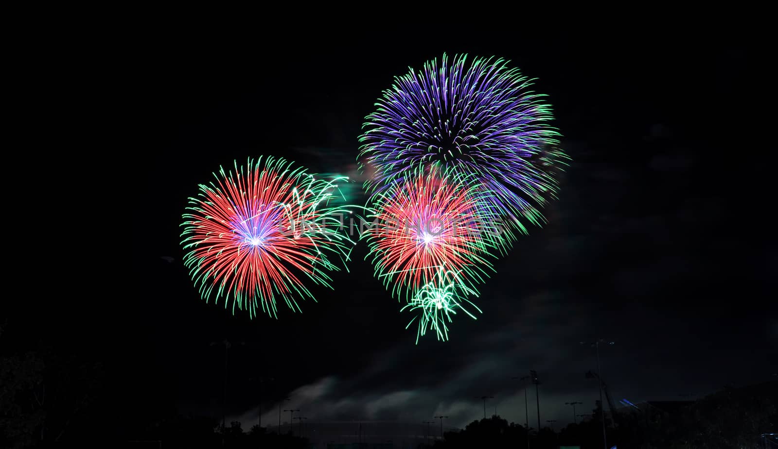 Colorful fireworks in the night sky 