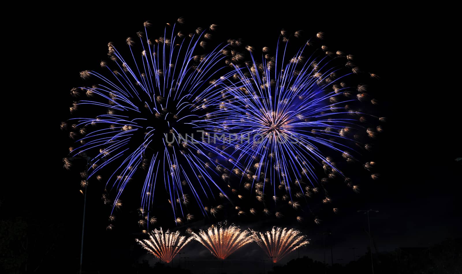 Colorful fireworks in the night sky 