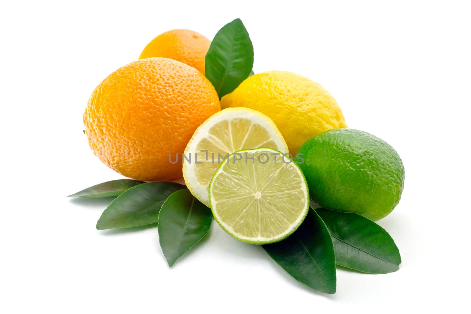 citrus on white background 
lime, orange, lemon
halves of lime and lemon
foliage of citrus trees