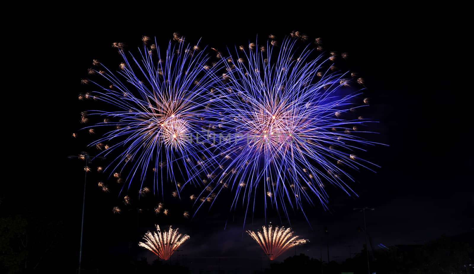 Colorful fireworks in the night sky 