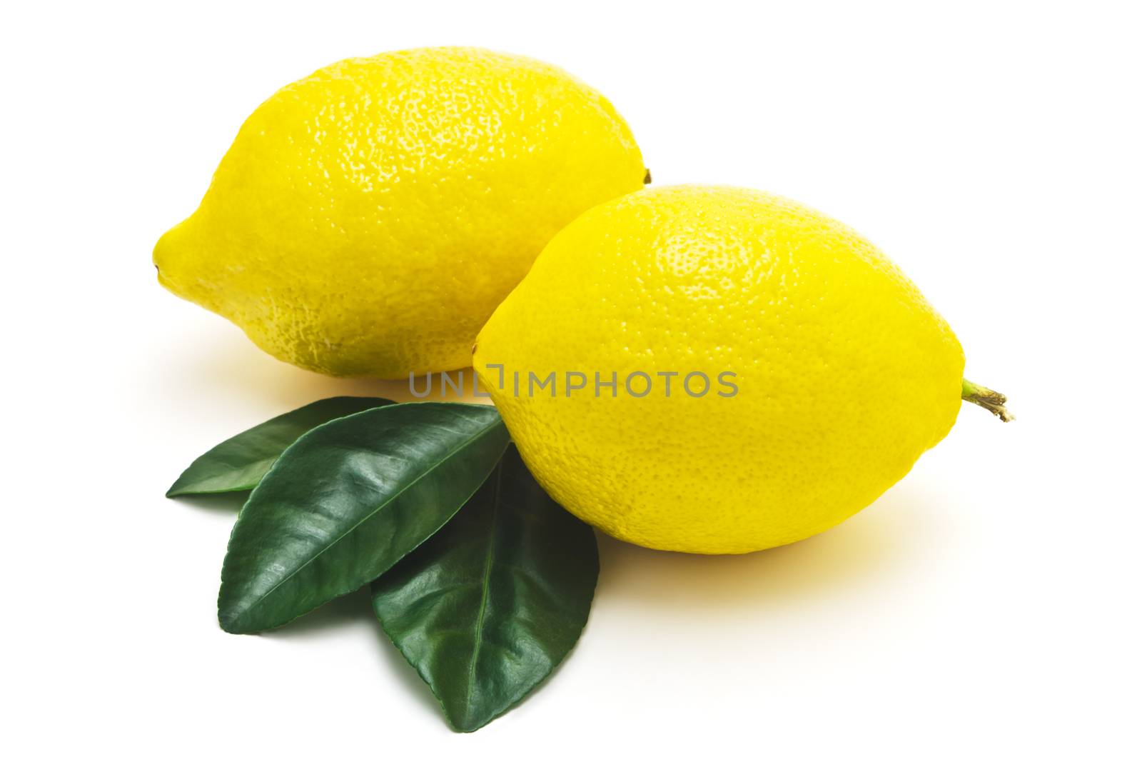 Juicy ripe lemons with leaves isolated on white background