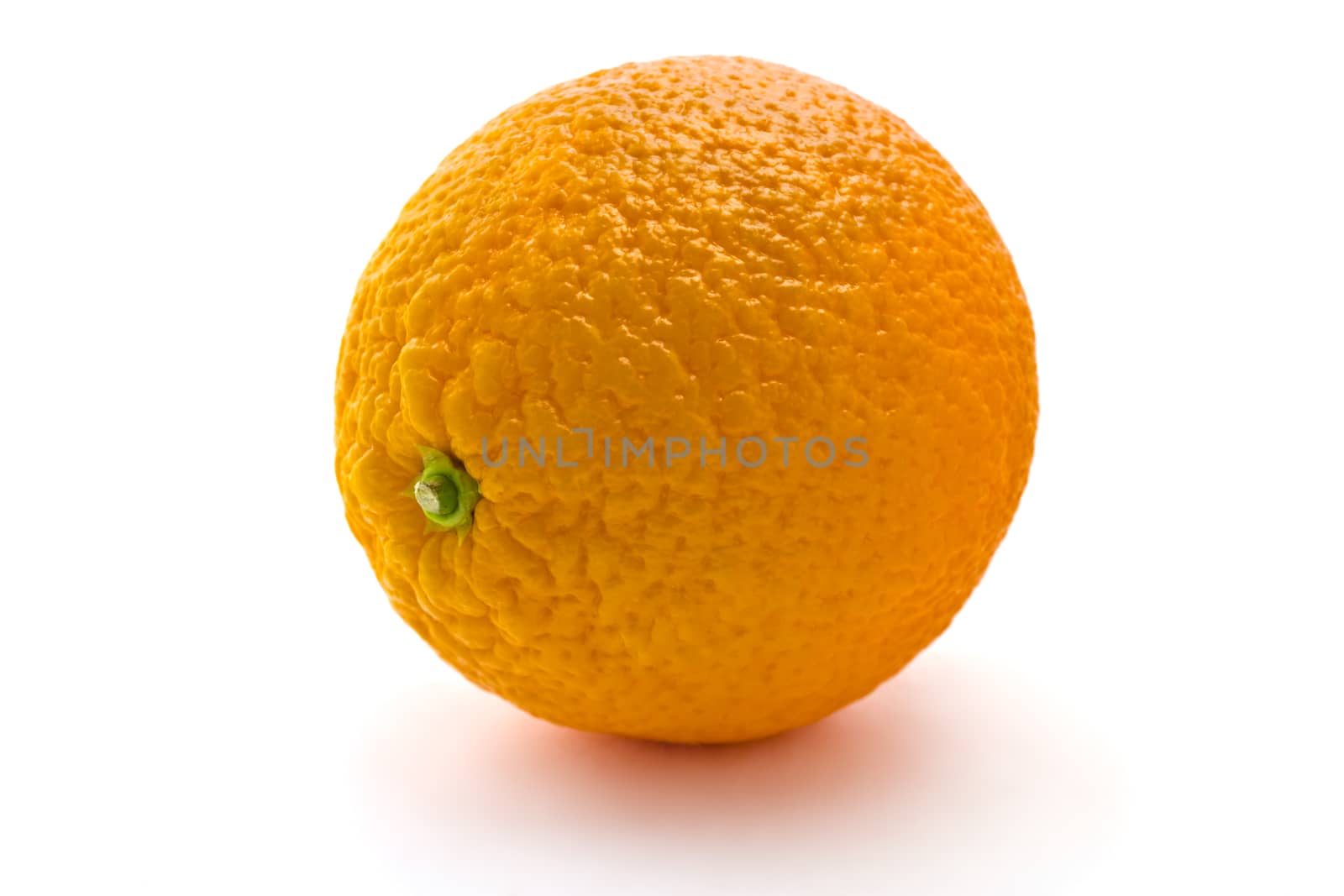 Juicy oranges on a white background by pilotL39