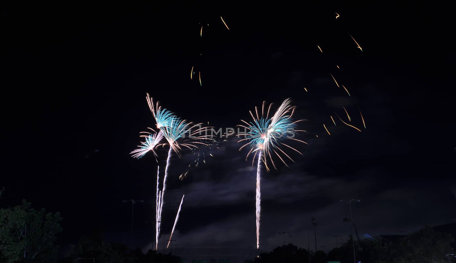 Colorful fireworks in the night sky 