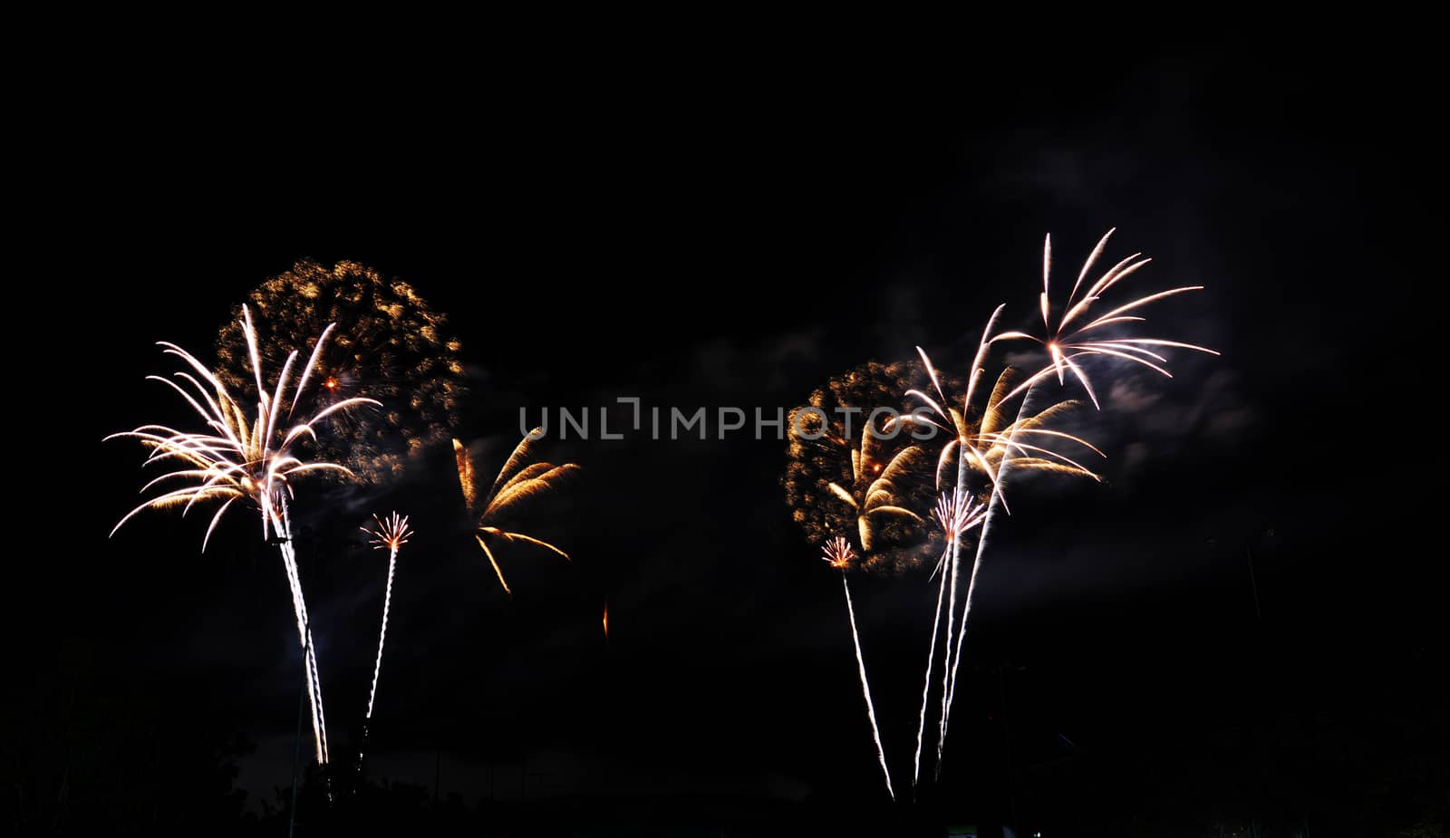 Colorful fireworks in the night sky 