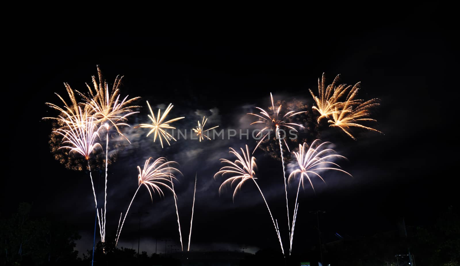 Colorful fireworks in the night sky 