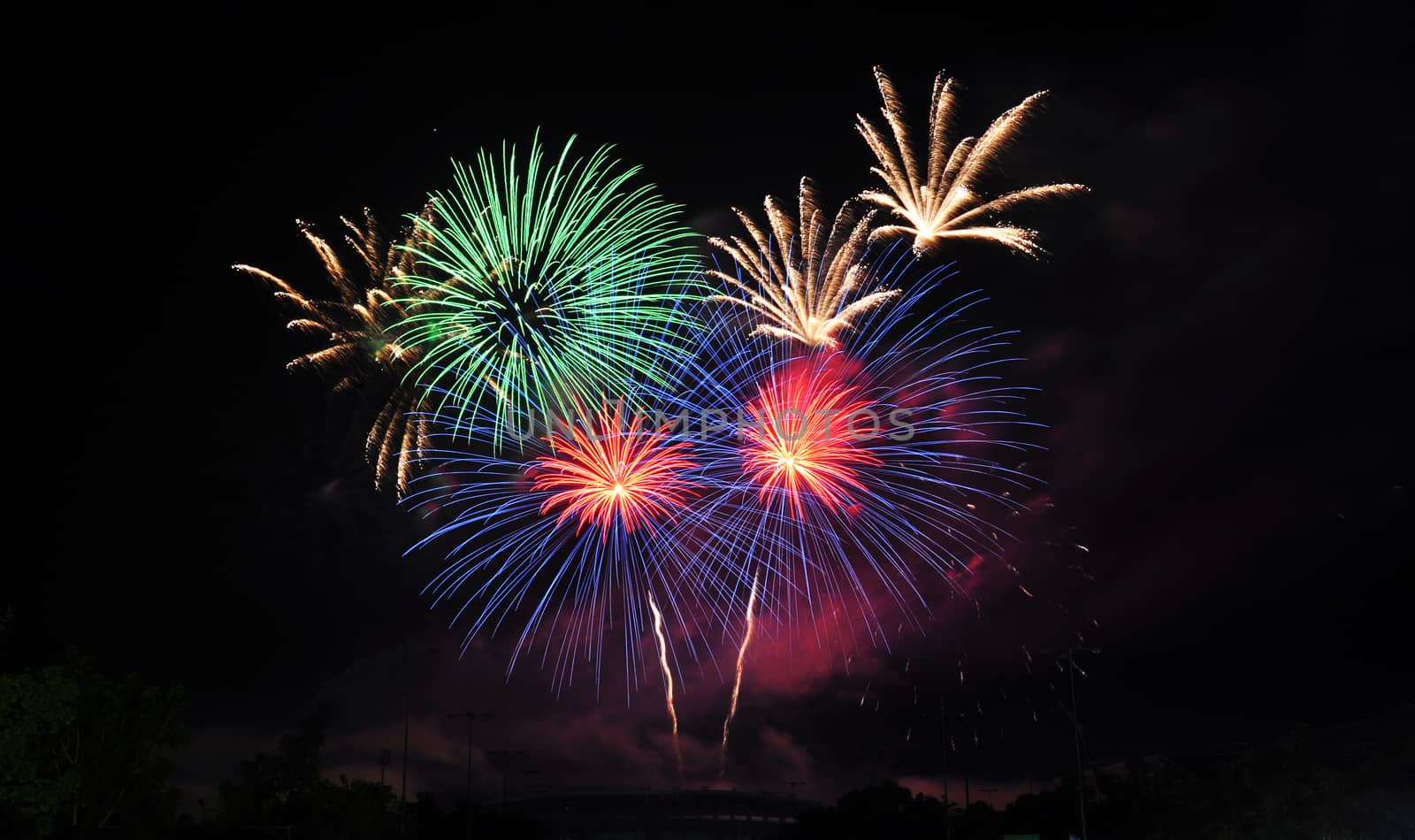 Colorful fireworks in the night sky 