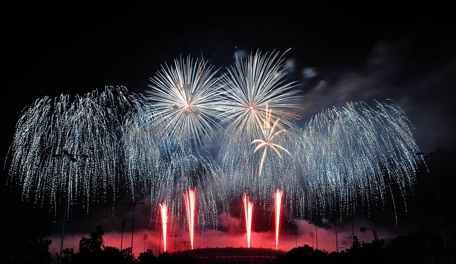 Colorful fireworks in the night sky 