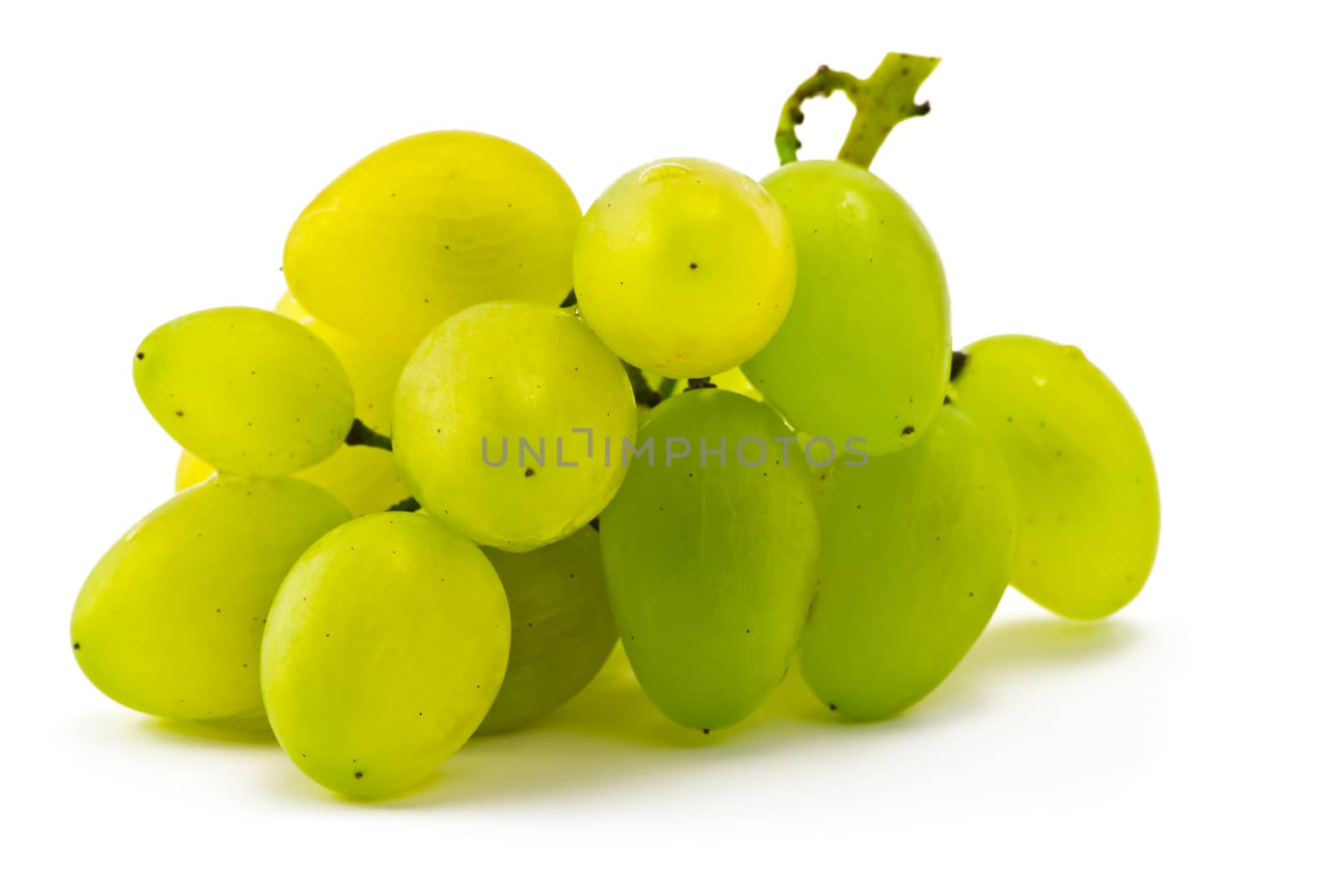 Brush juicy ripe grapes on a white background