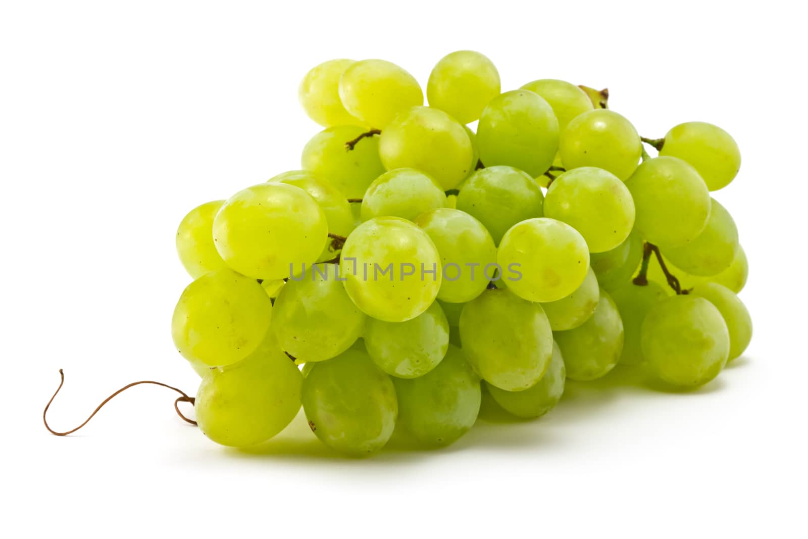 Brush juicy ripe grapes on a white background