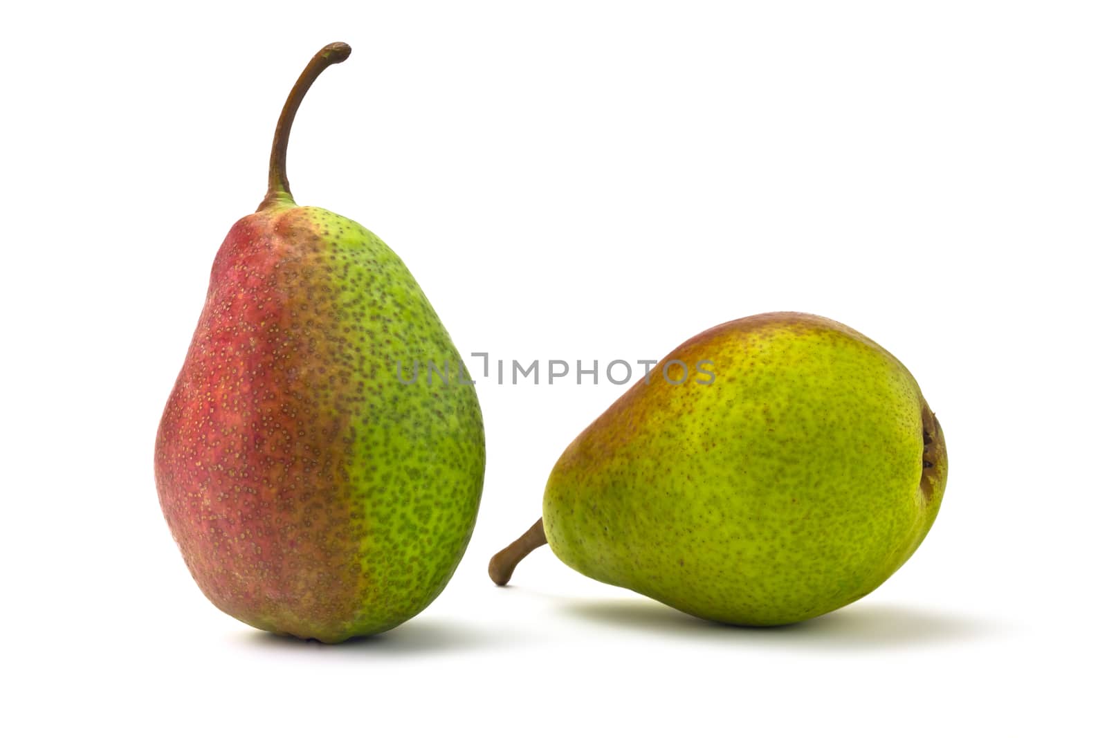 Two red and green pears on a white background