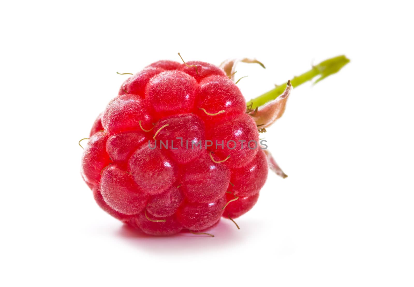 sweet ripe raspberries on a white background