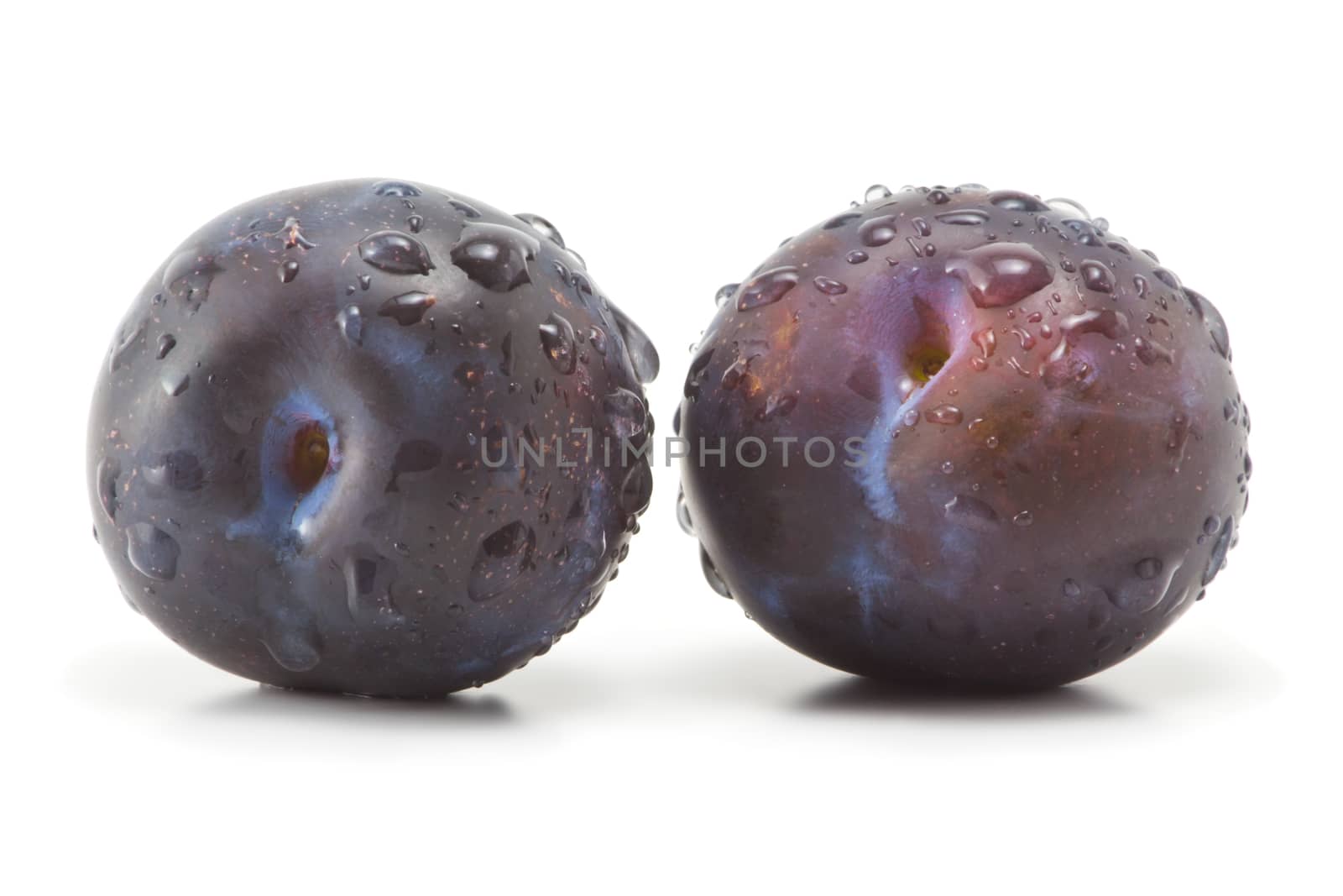 Two plums with drops of water on a white background