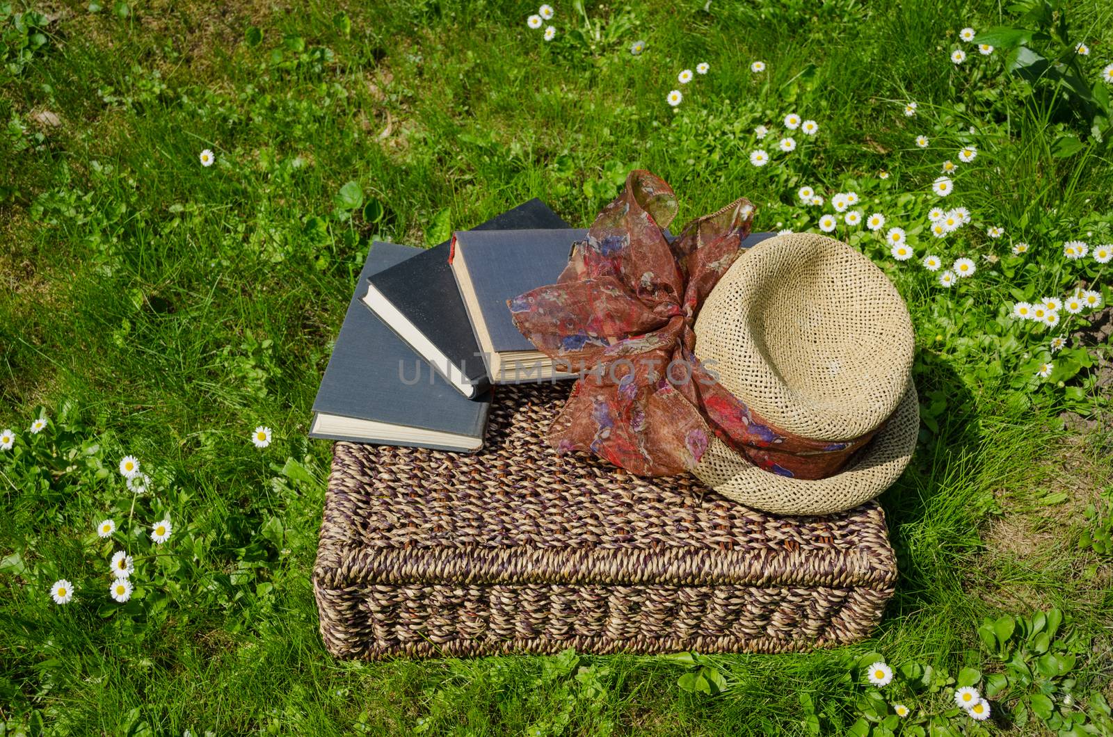 Wicker basket full of books between lawn grass and daisy flowers and retro hat.
