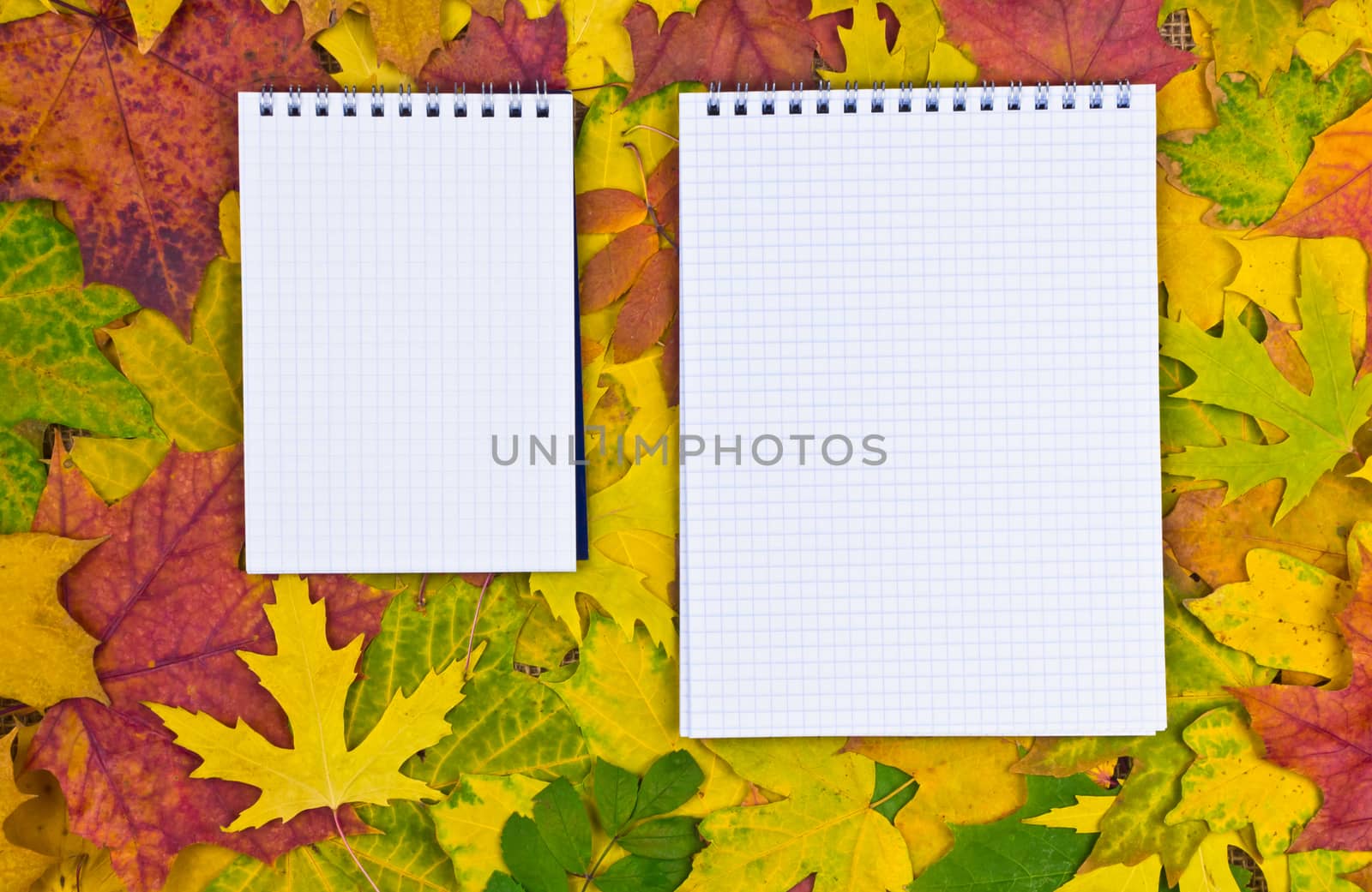 Paper in the autumn background by pilotL39