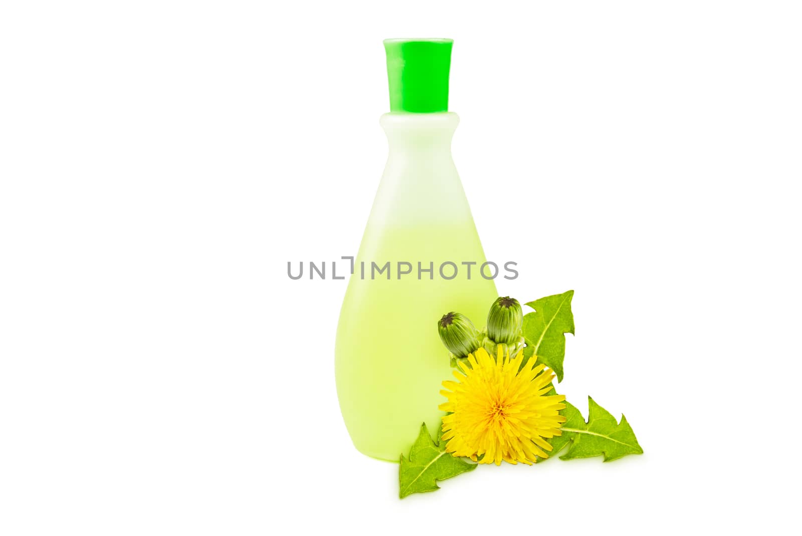 translucent vial, yellow dandelions with green leaves and buds on a white background