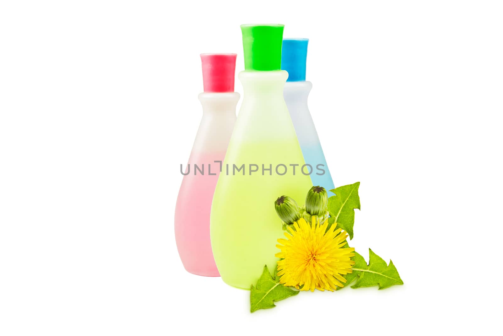 three translucent vial, yellow dandelions with green leaves and buds on a white background